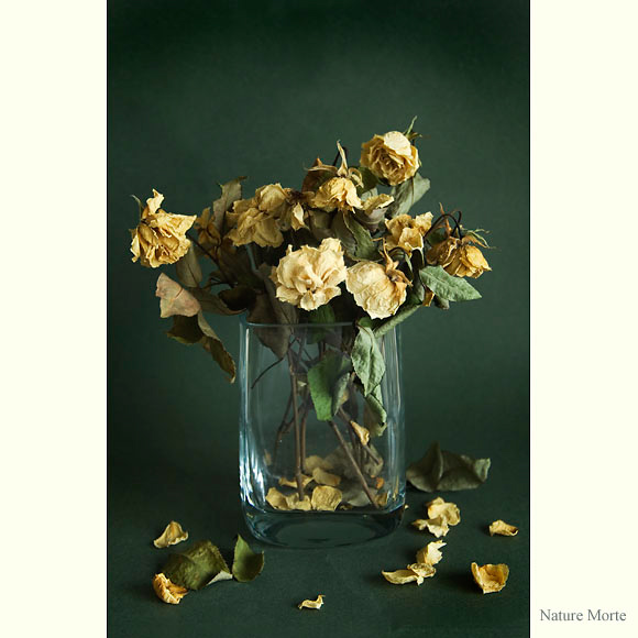 004-NatureMorte2-005