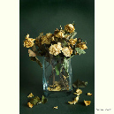 004-NatureMorte2-005