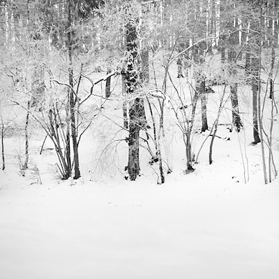 025_sneeuw_D7C1223