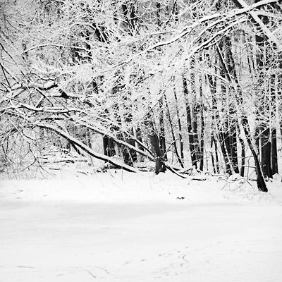 026_winter_D7C1222