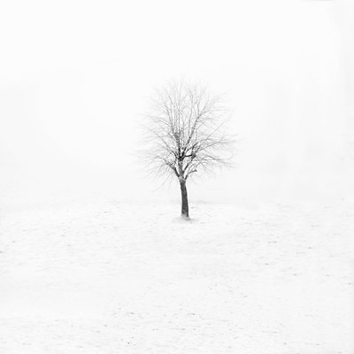 030_winter_D7C1143