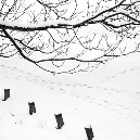 006_sneeuw_D7C1201