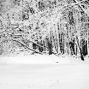 026_winter_D7C1222